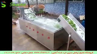 خط تولید سبزی خرد شده | فروشگاه شاینو شماره تماس: 09121391592