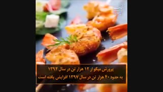 دستاوردهای وزارت جهاد کشاورزی تحت مدیریت محمود حجتی