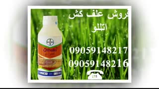 علف کش آتلانتیس اتللو فوکوس