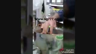 دستگاه آسیاب زنجبیل