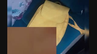 ووییدو پلی شه