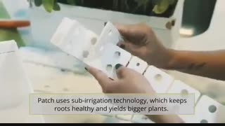 ایگرد | PatchPlanter هرگز گیاهان خانگی تان خشک نمیشوند!
