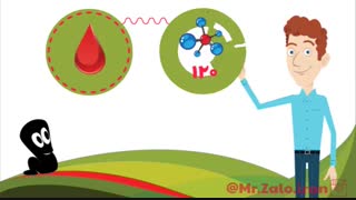 مستر زالو | mrzalo ؛ پرورش زالو ، تولید زالو ، فروش زالو