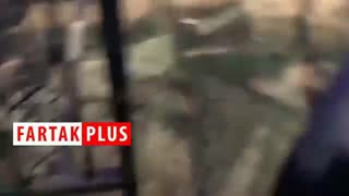 لحظات نفس گیر گاوبازی در سال 2018