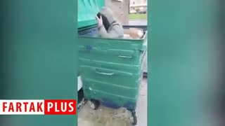 زندگی تلخ یک دختر جوان در داخل سطل آشغال