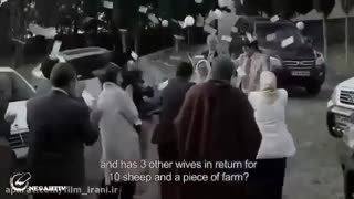 دانلود حلال و قانونی فیلم سینمایی تابو با بازی الناز شاکردوست