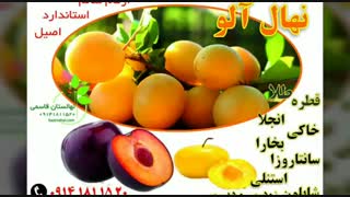 ارقام نهال میوه