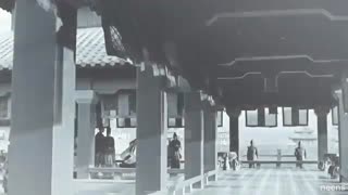 زن پادشاه