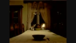 چالش وحشت فرشته