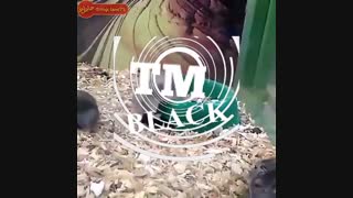 آهنگ چقدر مستم من