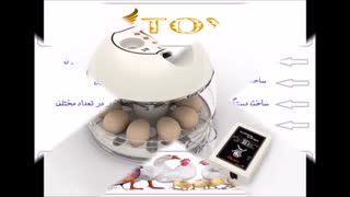 دستگاه جوجه کشی طیور و طوطی سانان