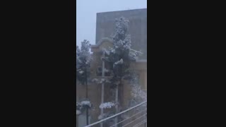 روبه روی خونمون همین الآن یهویی