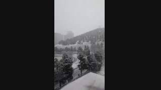 بهشت زیبا برف امروز پیشنهادی