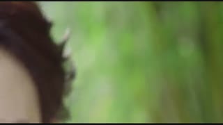 دانلود قسمت پانزدهم سریال چینی رئیس بزرگ 2017 The Big Boss با بازی هوانگ جون جی و لو یان کی + زیرنویس فارسی آنلاین