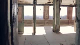 ویورلی هیلز (سرزمین ارواح)