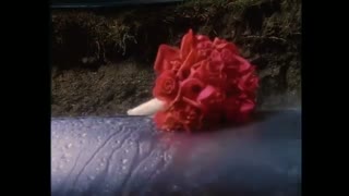 یک سفر تکه و پاره به آزادی (از فصل سوم) ۲