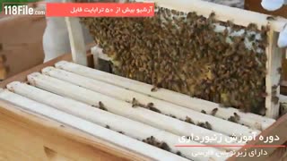 10 نکته کاربردی آموزش زنبورداری و تولید عسل