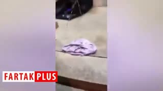 بی‌خانمان‌های انگلیسی در چند متری ساختمان BBC