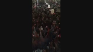 گله مادری بلک استار و پلیموت راک