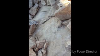وایییییی. یافته هام در طبیعت بکر (پلی شه)