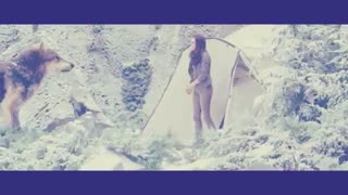 میکس زیبا از فیلم گرگ و میش-Twilight