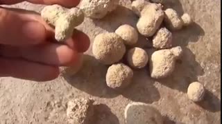 پدیده ی بسیار عجیب در غرب رومانی .