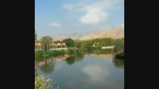 هرسم زنگنه ترمیم زیبایی دندان