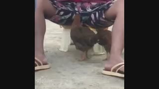 بدبخت بیچاره غذا تو گلوشون باد کرد