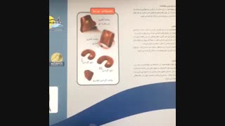 پشتی کمری خودرویی 09189570355