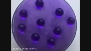 گلللل چهااااارمممممممممممممممممممممممممممممممممممممم