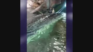 آکواریوم جذاب