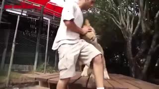 اُنس حیوانات با بشر