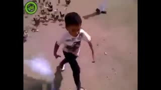حمله حیوانات به انسان 1