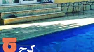 اجاره ویلا استخردار در شمال  / رزرو یلای لوکس