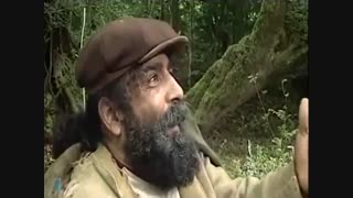 سریال پس از باران - 16