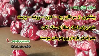 اولین ری اکشن مهدی یراحی به خبر ممنوع الکار شدنش