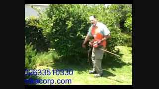 hedge cutters
