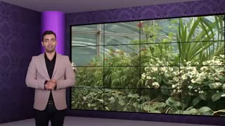 راهنمای سفر به سنگاپور