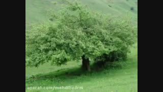 اهنگ ترکی سلام یتیر علی پرمهر