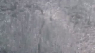 Catch me TVXQ persub