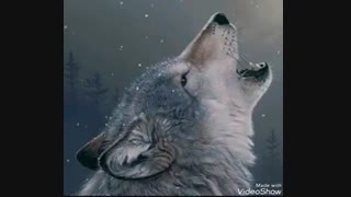 خیلییی ممهههممم