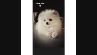 ★ New story. ★عضو جدید گروه ماکان ❤~❤