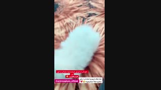 دختر امیر مقاره(مایا خانوم*_*}