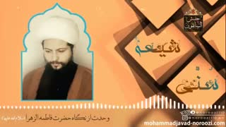 شیعه و سنی، دلیل وحدت -حجت الاسلام محمد جواد نوروزی نصرت