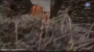 سریال عمر ابن خطاب فاروق العظم (قسمت سوم)