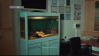 دانلود قسمت215 سریال عروس استانبولی دوبله فارسی