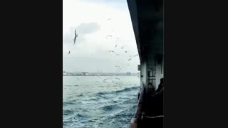 سفر به استانبول