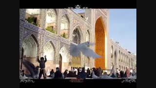 کلاغ رو سیاه .. محسن چاووشی