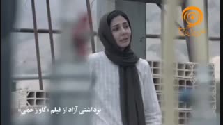 برداشتی آزاد از فیلم «گاو زخمی»