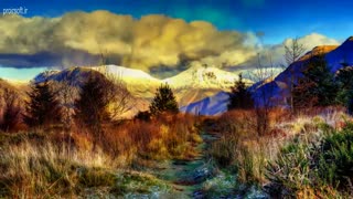 موسیقی طبیعت